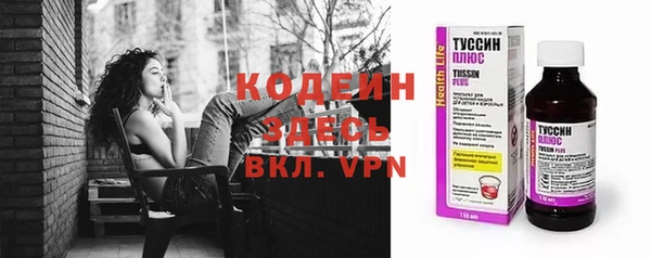 хмурый Долгопрудный