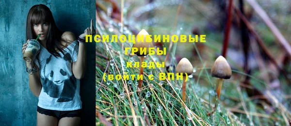 дурь Белая Холуница