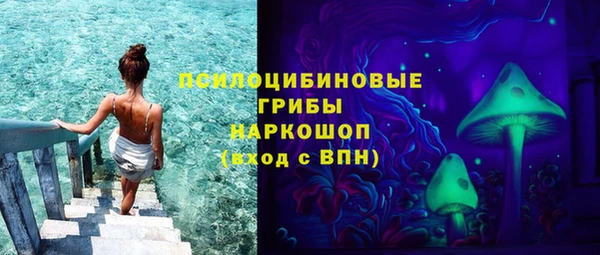 хмурый Долгопрудный