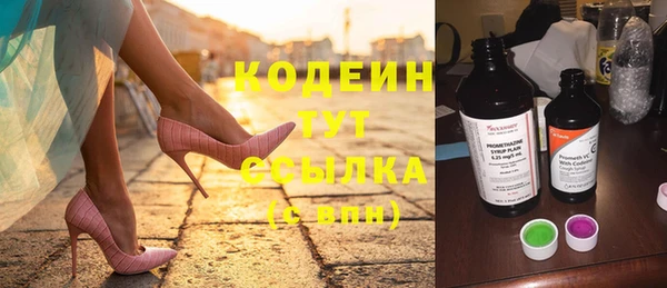 хмурый Долгопрудный