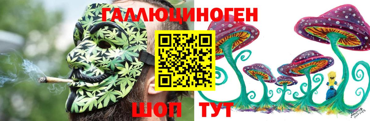 купить наркотики сайты  Кандалакша  Галлюциногенные грибы MAGIC MUSHROOMS 