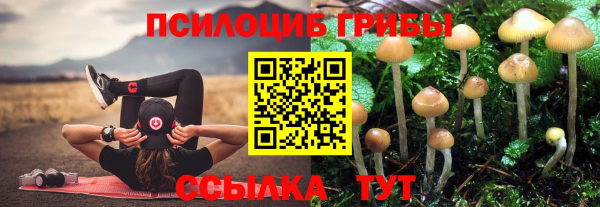 Псилоцибиновые грибы мухоморы  Псилоцибиновые грибы прущие грибы  Кандалакша  Вход с VPN 