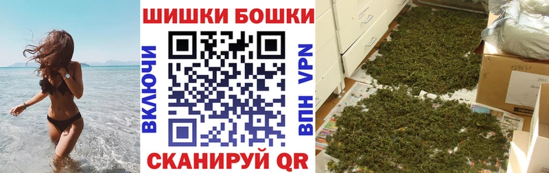 Бошки Шишки план  Кандалакша 